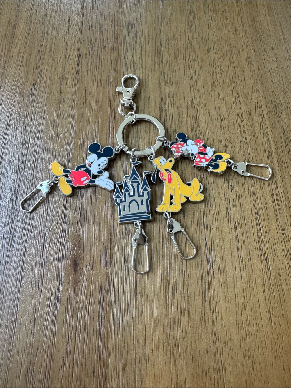 WDW Parks Keyring!